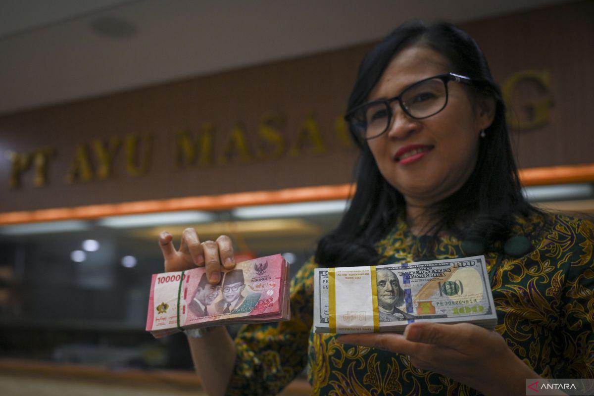 Daftar Harga Habanero Rupiah Terbaru: Kumpulan Informasi Lengkap